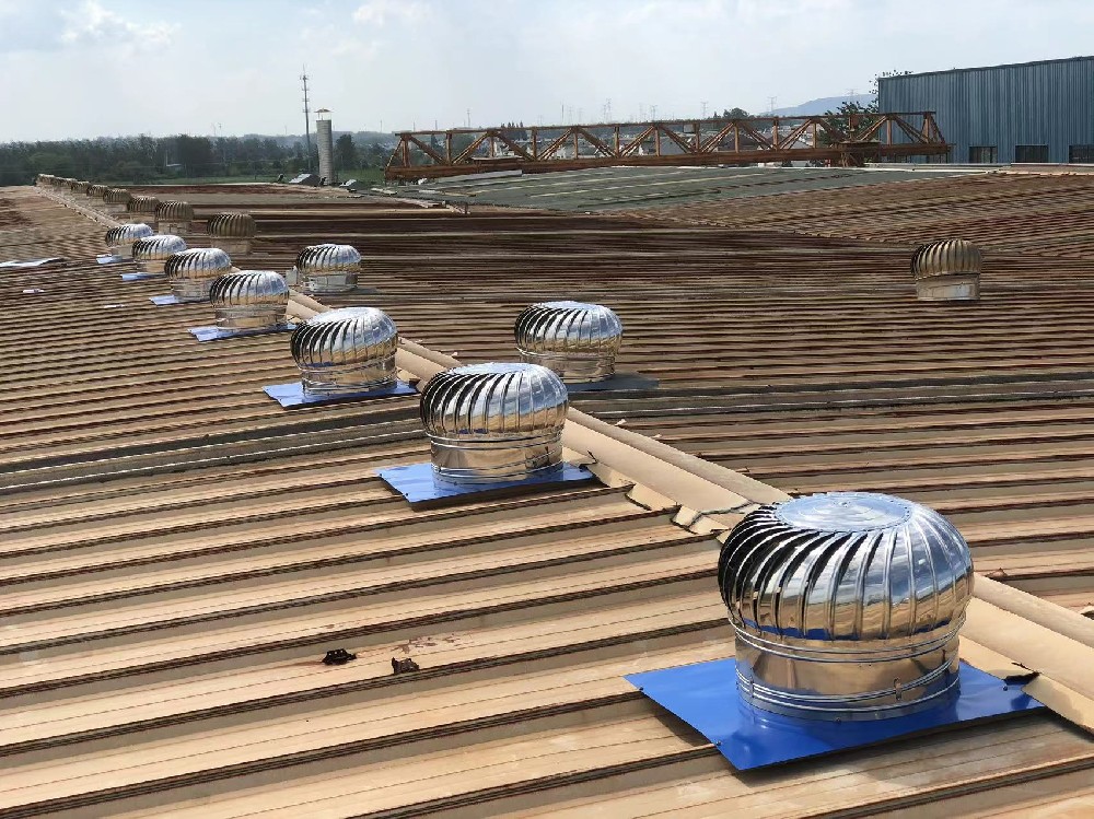 我们是一家什么样的公司呢？